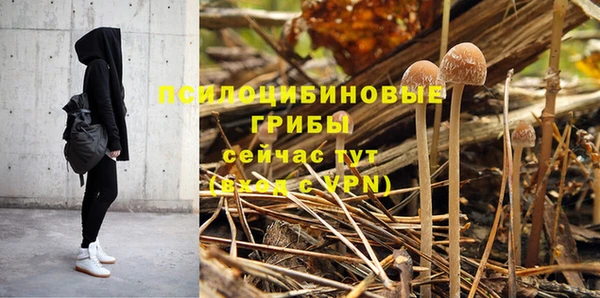 МДПВ Бугульма