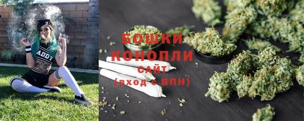 стаф Бронницы