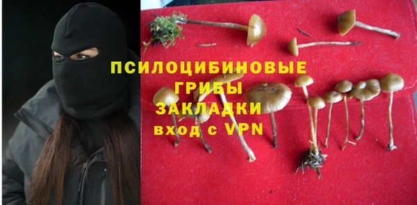 МДПВ Бугульма