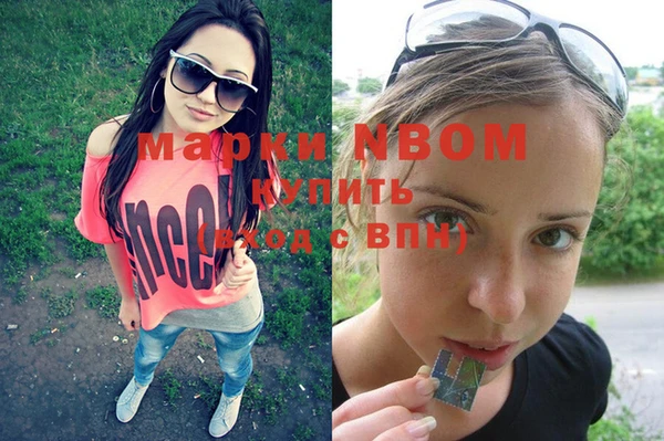 стаф Бронницы
