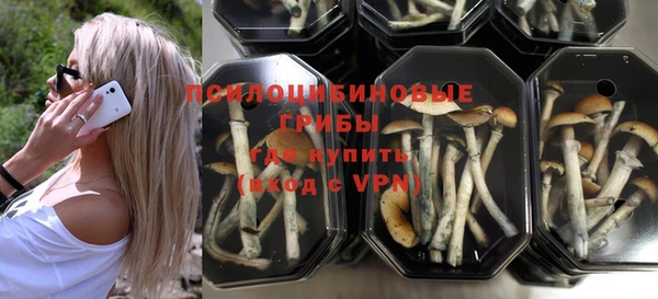 стаф Бронницы