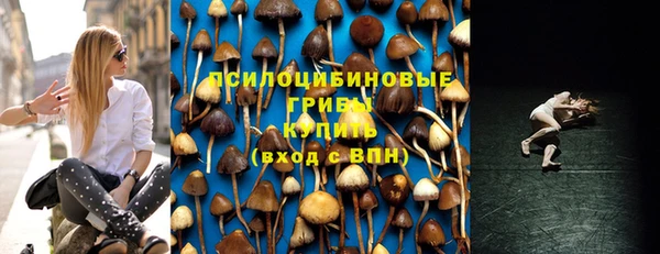 стаф Бронницы